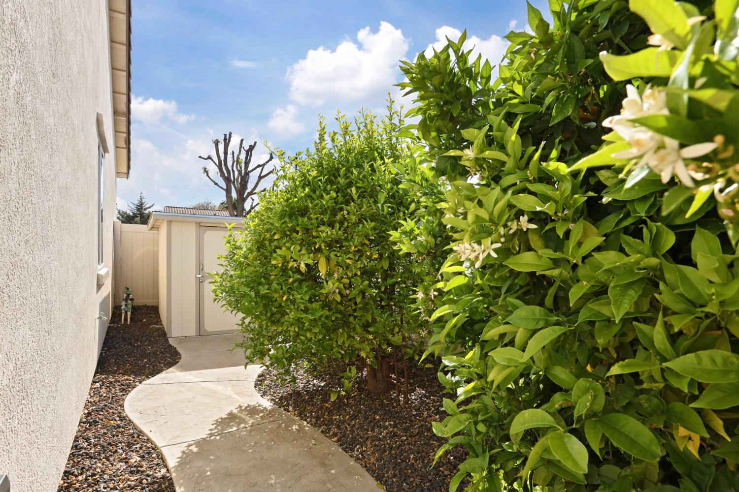 Detail Gallery Image 42 of 75 For 2609 Roseberry Ave, Manteca,  CA 95336 - 3 Beds | 2 Baths