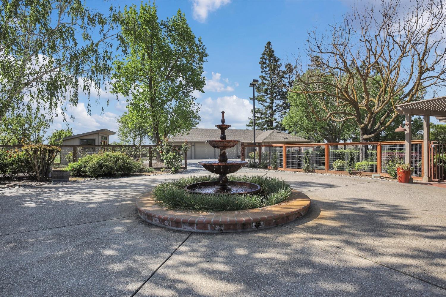 Detail Gallery Image 11 of 98 For 6596 E Realty Rd, Lodi,  CA 95240 - 4 Beds | 3/1 Baths