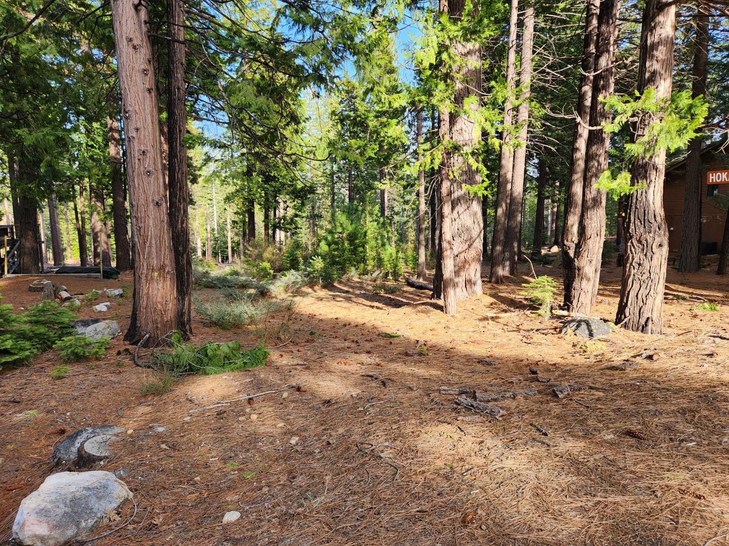 Meko Drive, Camp Connell, California image 1