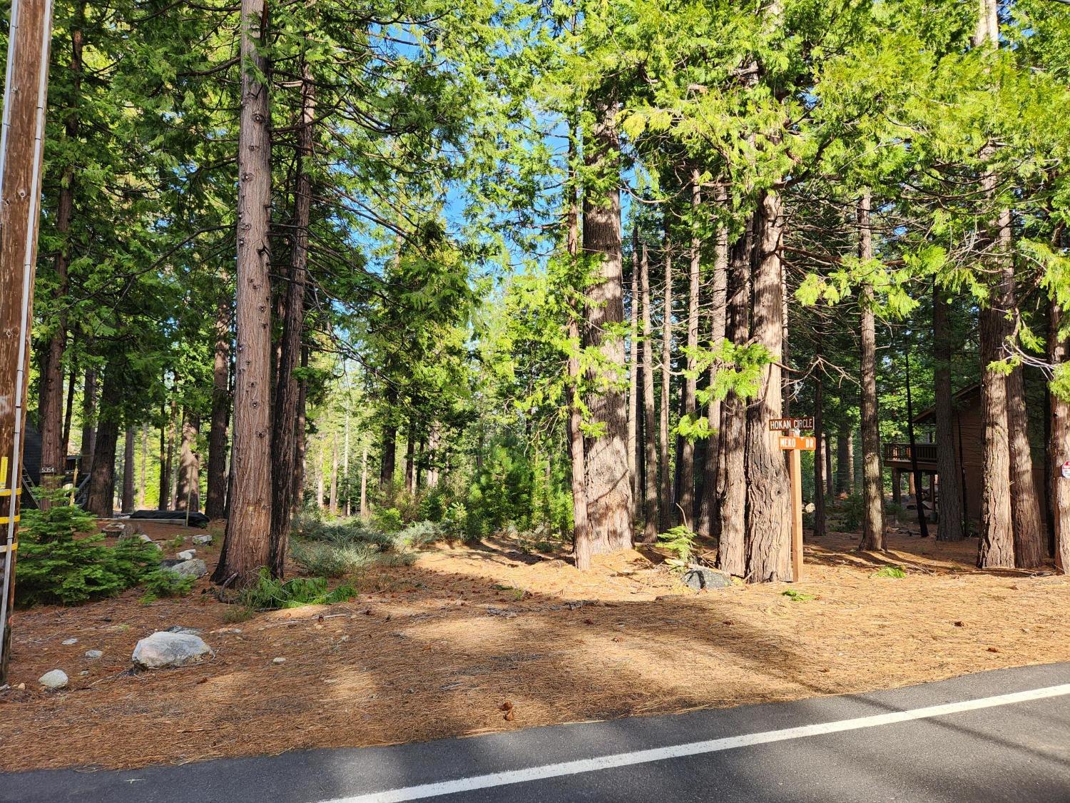 Meko Drive, Camp Connell, California image 4