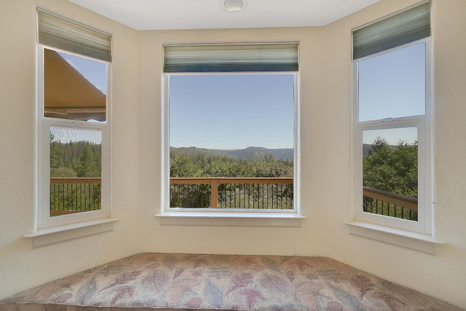 Detail Gallery Image 36 of 75 For 16724 Alpine Dr, Pioneer,  CA 95666 - 3 Beds | 2/1 Baths