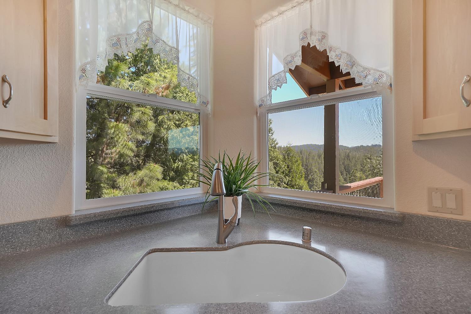 Detail Gallery Image 32 of 75 For 16724 Alpine Dr, Pioneer,  CA 95666 - 3 Beds | 2/1 Baths