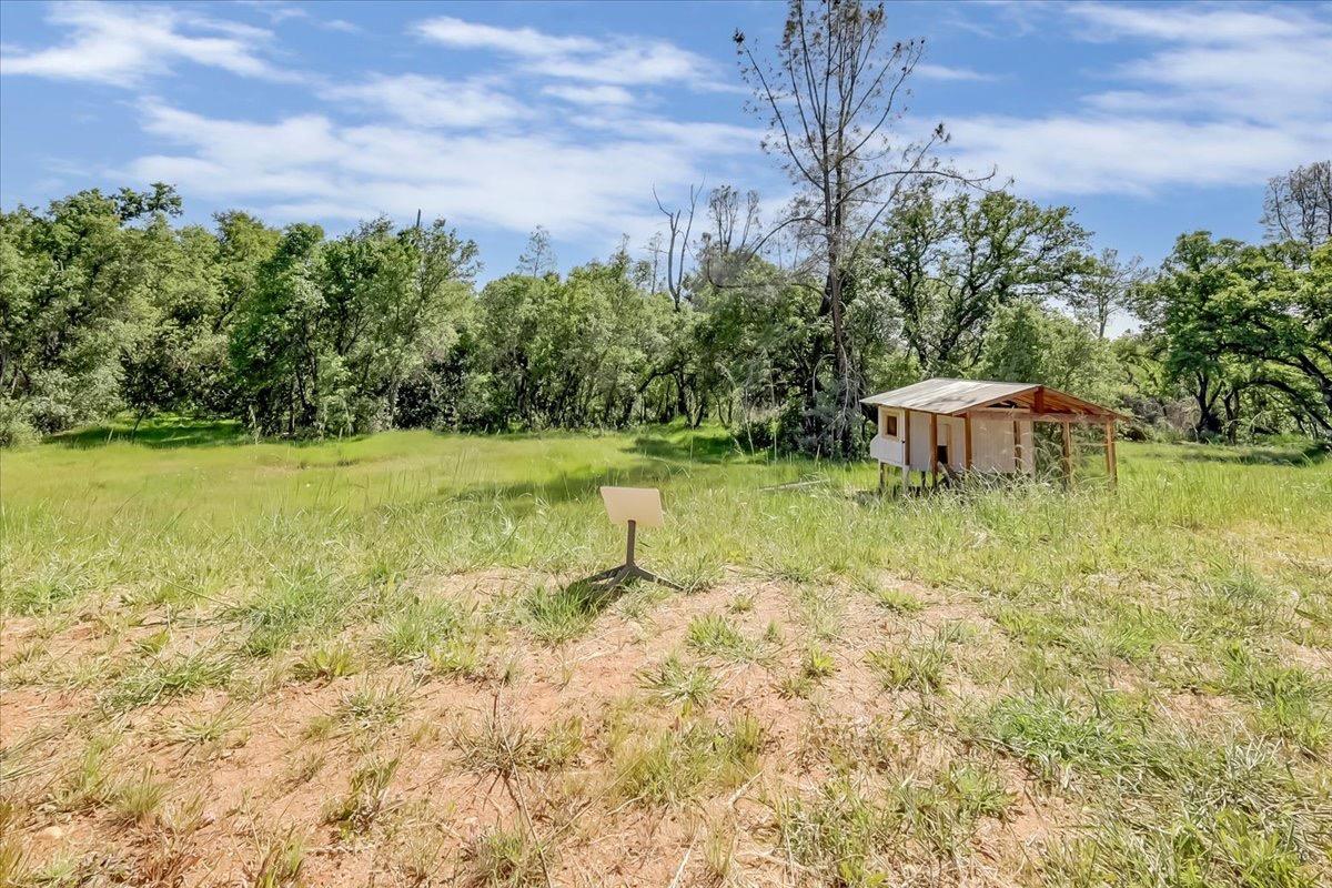 Detail Gallery Image 53 of 58 For 6217 Sandstone Ln, Browns Valley,  CA 95918 - 4 Beds | 2/1 Baths