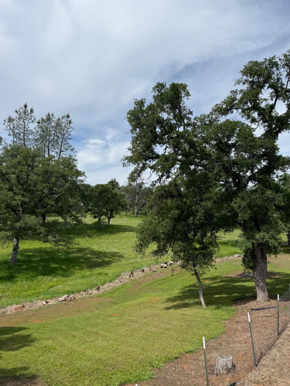 Detail Gallery Image 55 of 61 For 51 Woodvine Lane Ln, Bangor,  CA 95901 - 3 Beds | 2 Baths