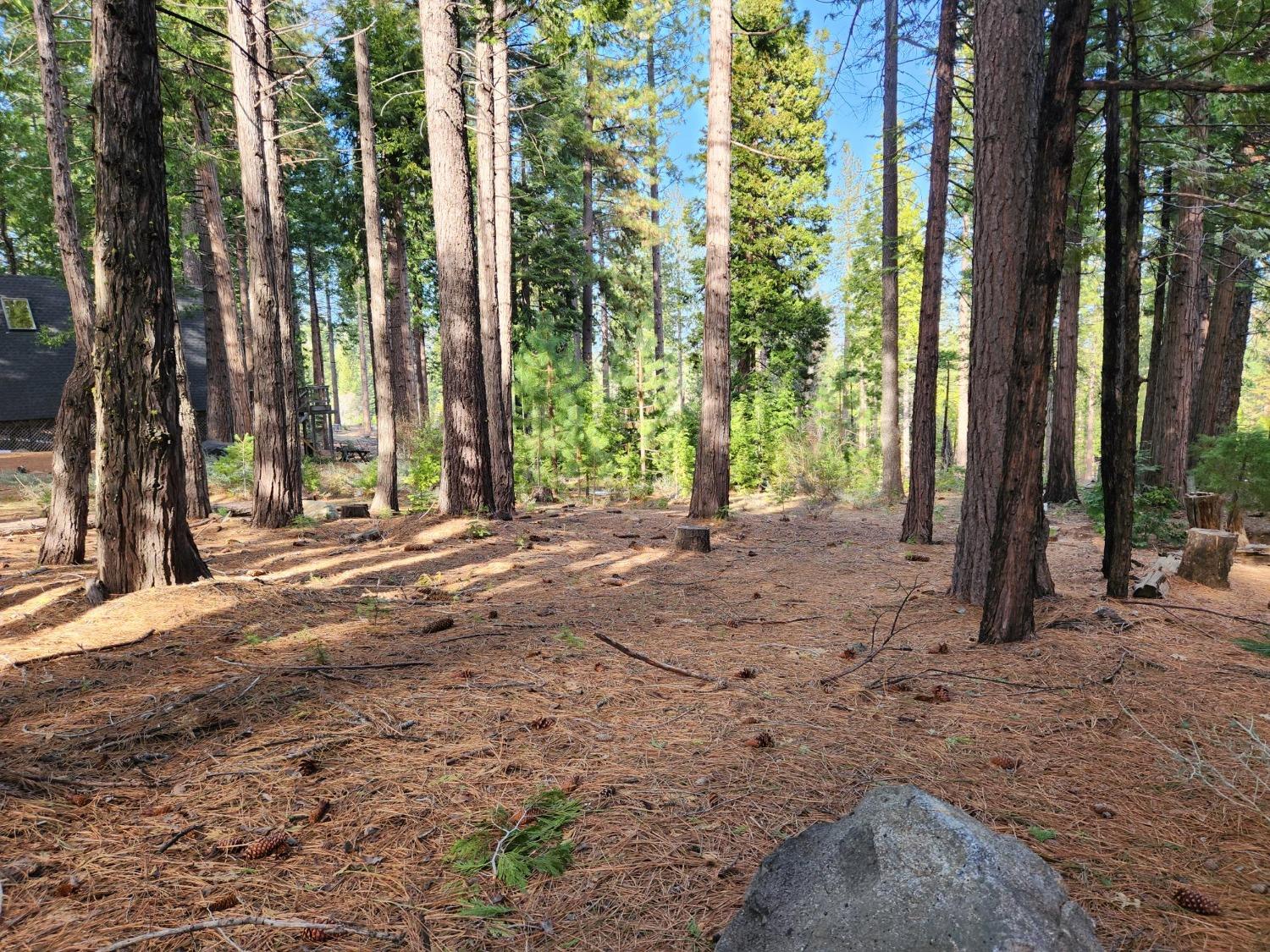 Meko Drive, Camp Connell, California image 2