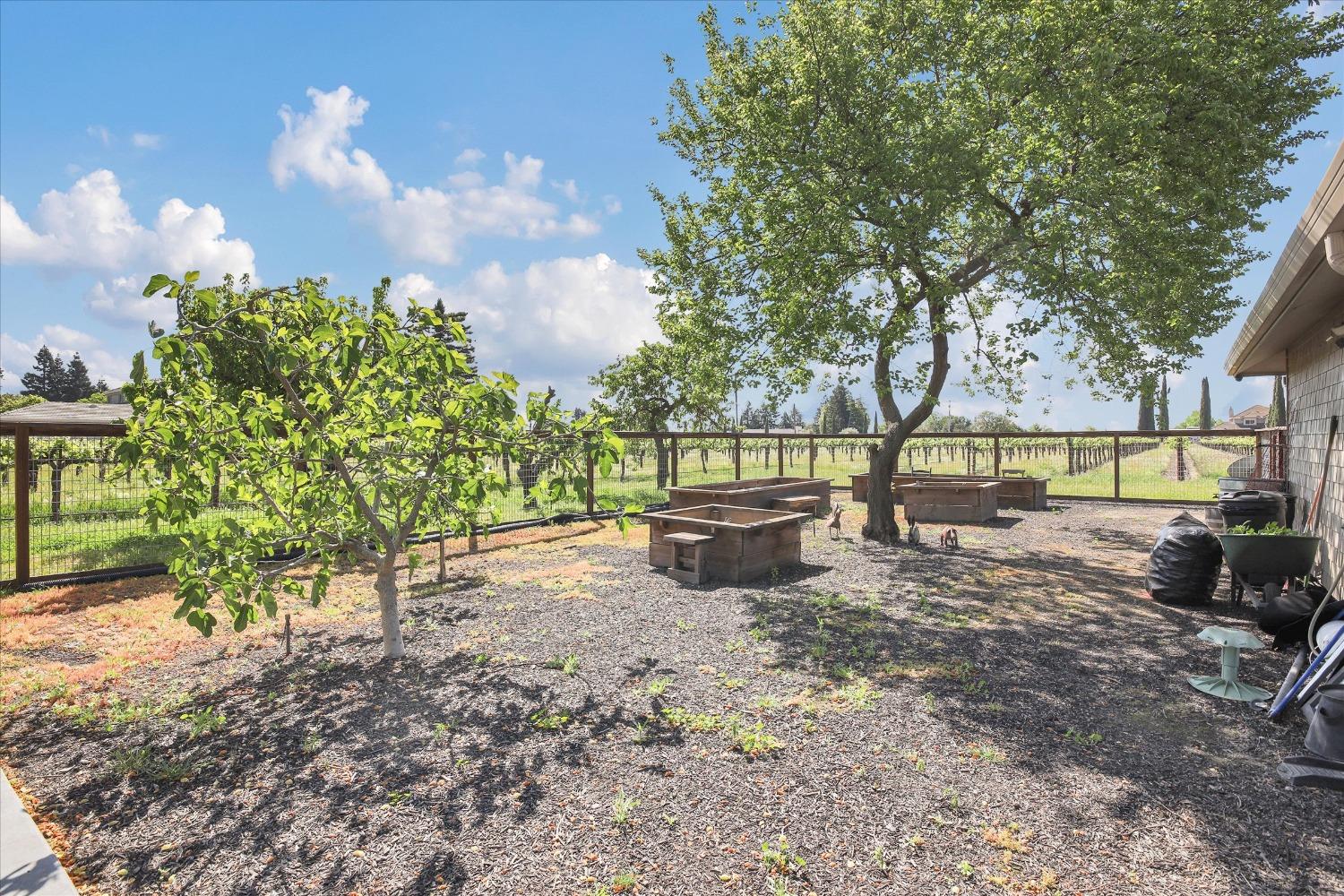 Detail Gallery Image 43 of 98 For 6596 E Realty Rd, Lodi,  CA 95240 - 4 Beds | 3/1 Baths