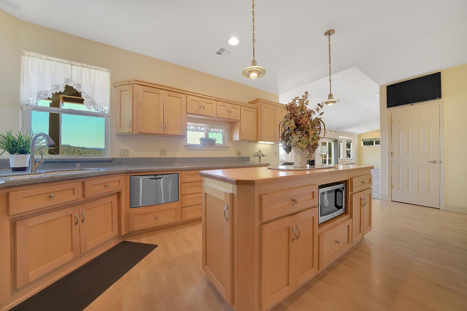 Detail Gallery Image 31 of 75 For 16724 Alpine Dr, Pioneer,  CA 95666 - 3 Beds | 2/1 Baths