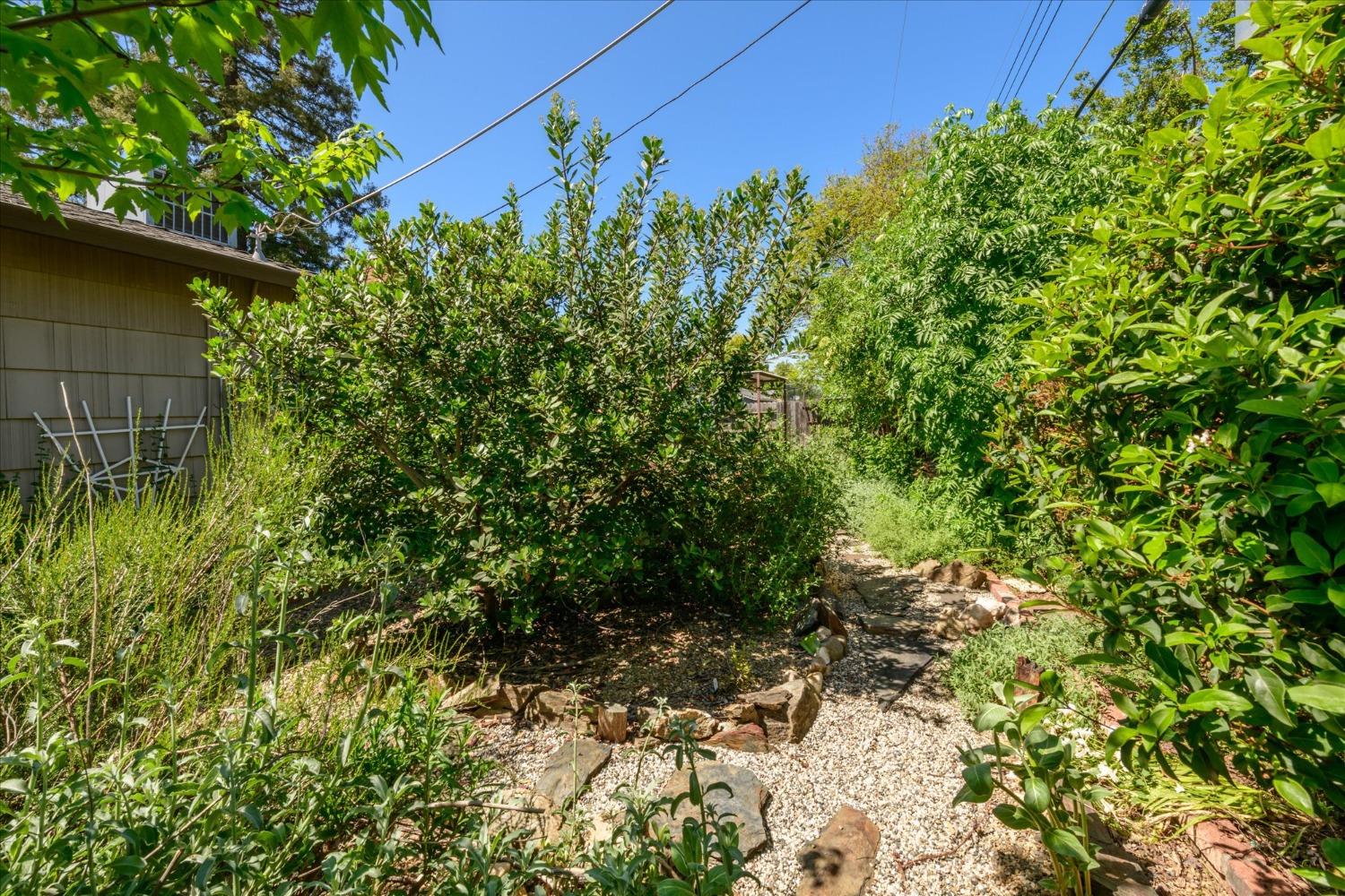 Cabernet Way, Rancho Cordova, California image 27