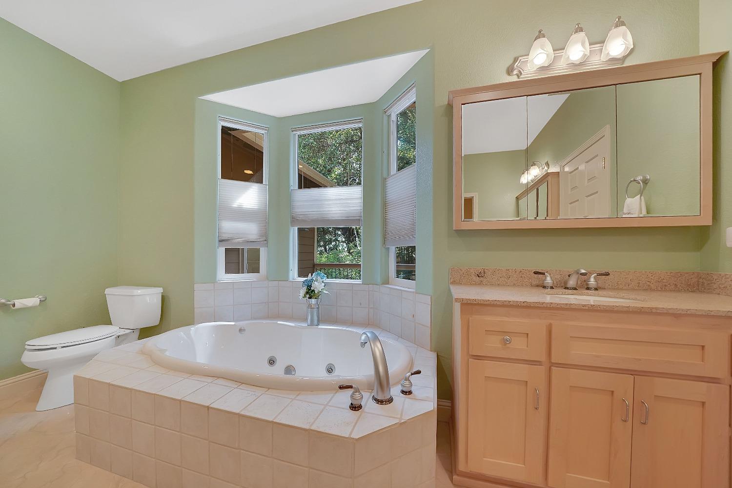 Detail Gallery Image 21 of 75 For 16724 Alpine Dr, Pioneer,  CA 95666 - 3 Beds | 2/1 Baths
