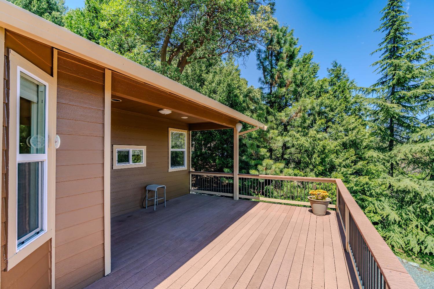 Detail Gallery Image 41 of 75 For 16724 Alpine Dr, Pioneer,  CA 95666 - 3 Beds | 2/1 Baths
