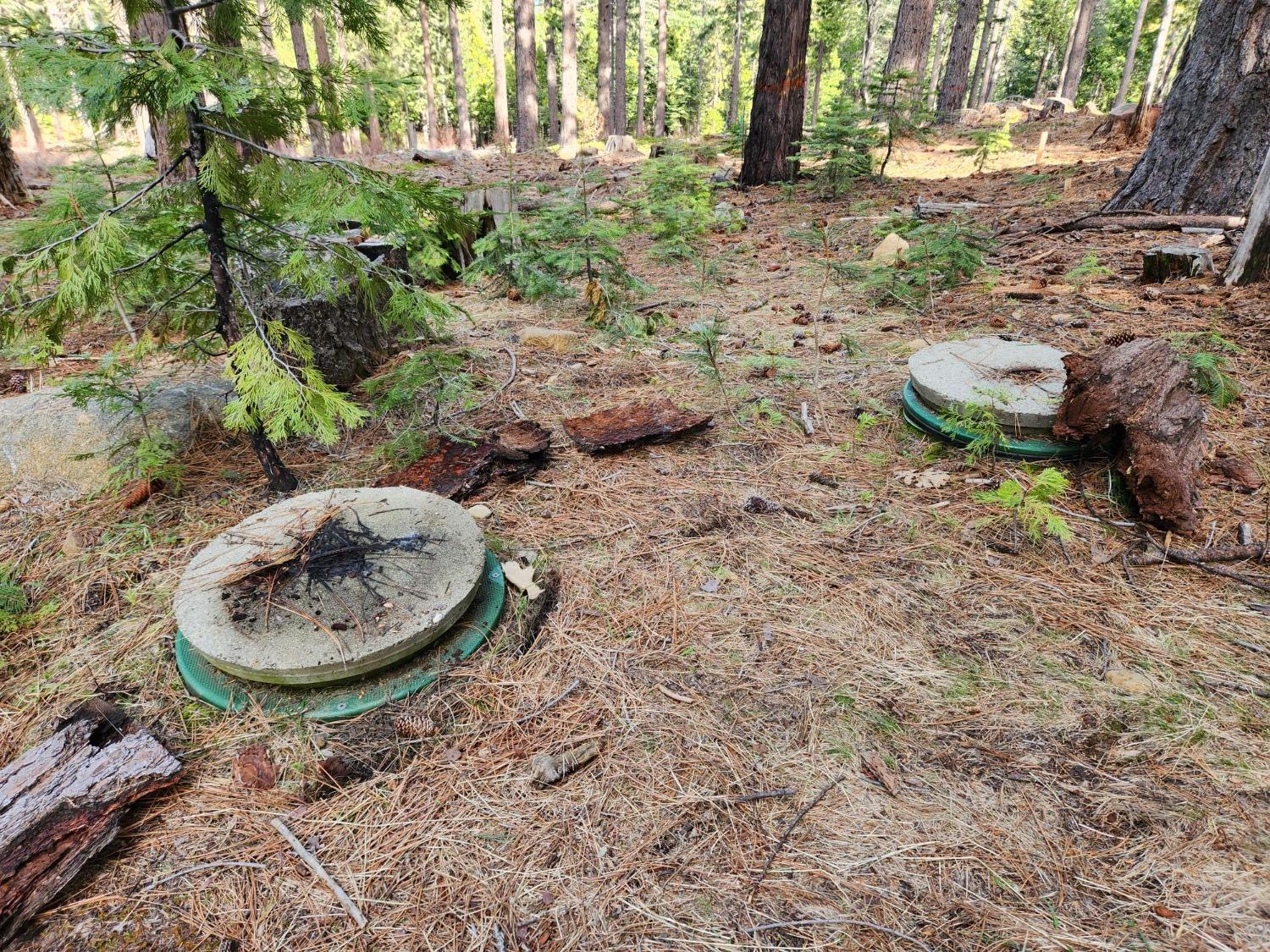 Meko Drive, Camp Connell, California image 9
