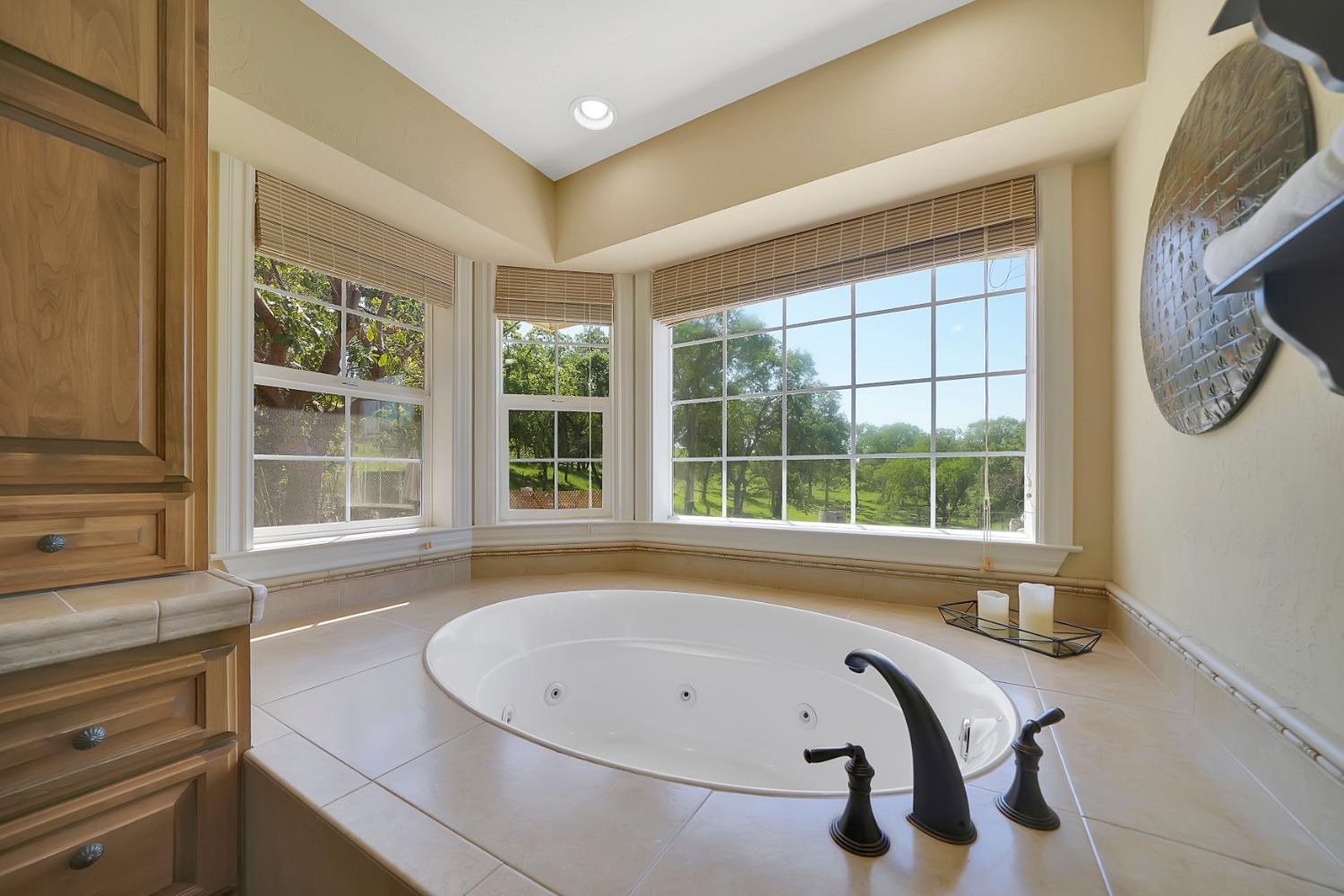 Detail Gallery Image 46 of 95 For 4784 Circle Hill Dr, Valley Springs,  CA 95252 - 3 Beds | 2 Baths