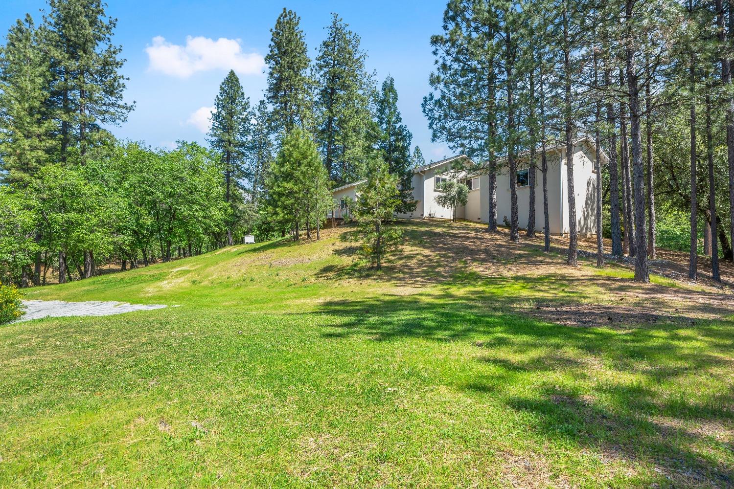 Detail Gallery Image 57 of 81 For 931 Eden Valley Rd, Colfax,  CA 95713 - 4 Beds | 3 Baths