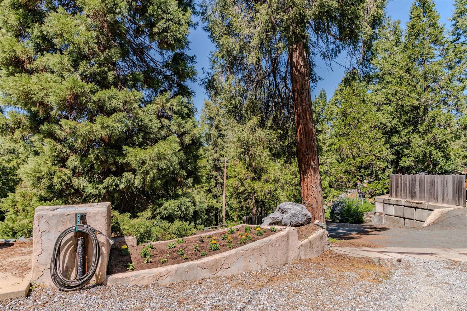 Detail Gallery Image 72 of 77 For 23101 Red Corral Rd, Pioneer,  CA 95666 - 4 Beds | 2/2 Baths