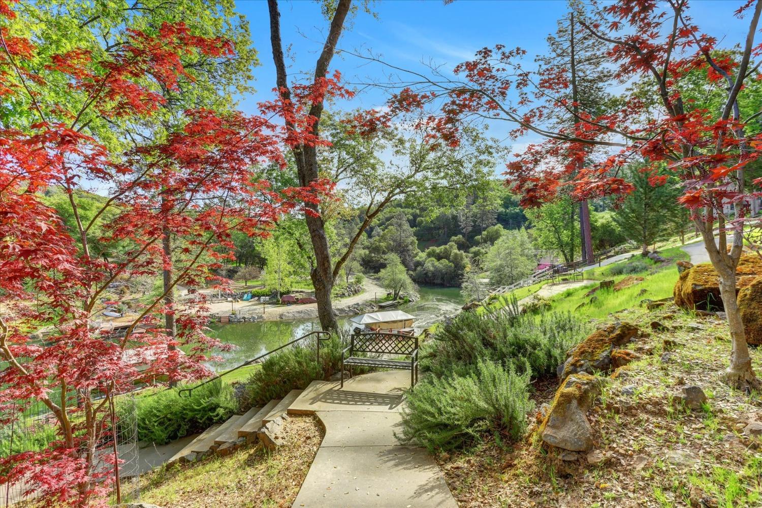 Detail Gallery Image 4 of 74 For 17582 Chaparral Dr, Penn Valley,  CA 95946 - 5 Beds | 4 Baths