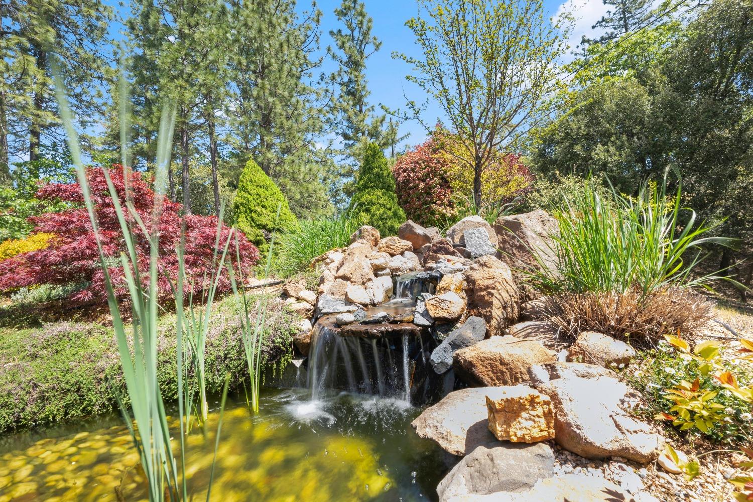 Detail Gallery Image 5 of 81 For 931 Eden Valley Rd, Colfax,  CA 95713 - 4 Beds | 3 Baths