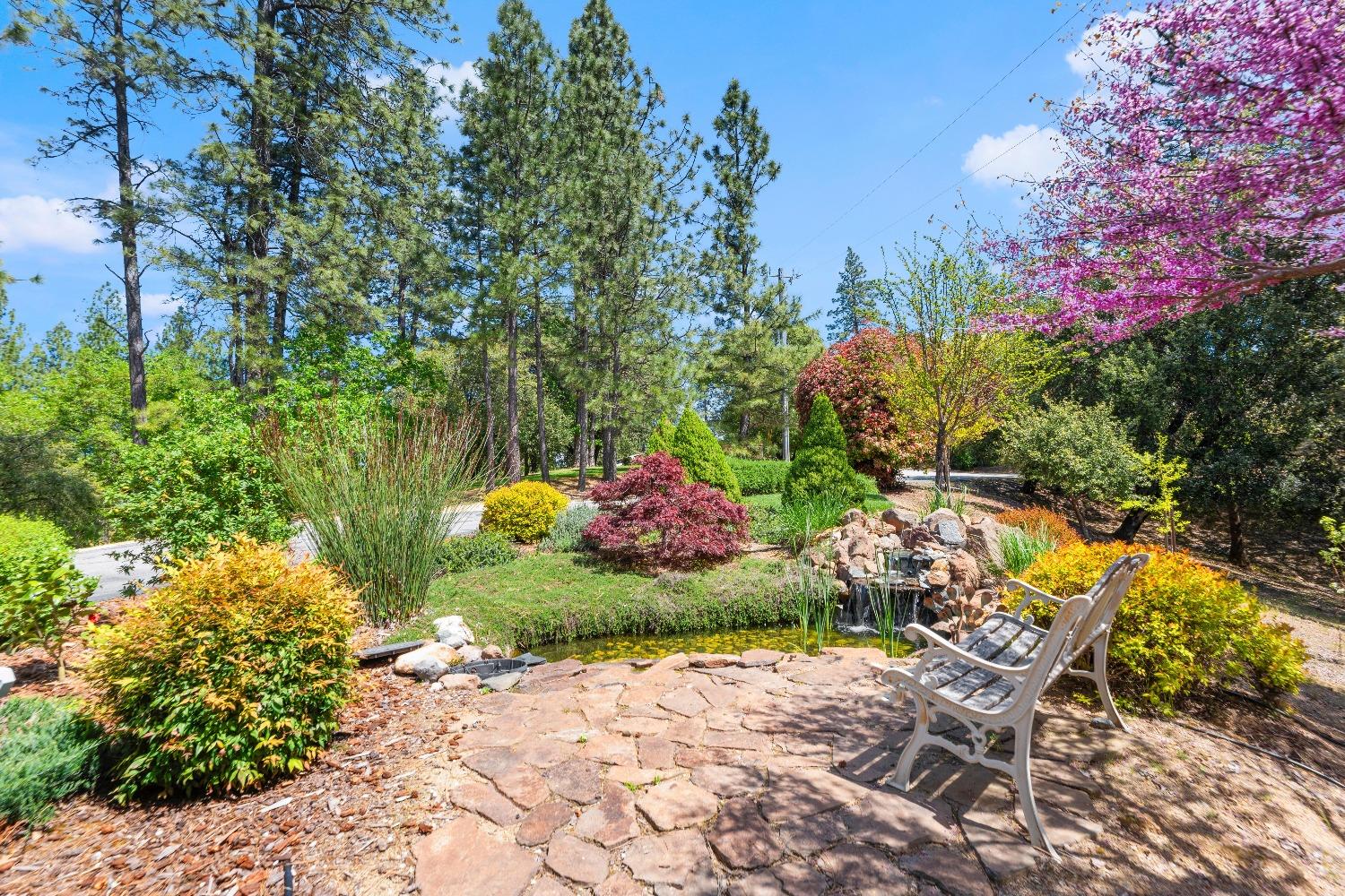 Detail Gallery Image 4 of 81 For 931 Eden Valley Rd, Colfax,  CA 95713 - 4 Beds | 3 Baths