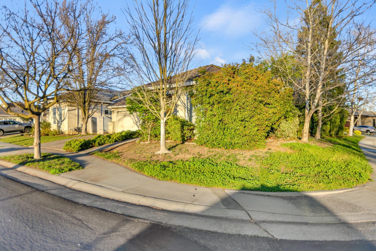 Lakepoint Drive, Elk Grove, California image 4