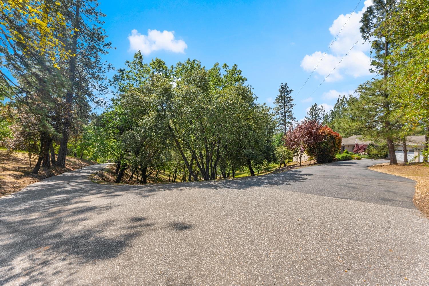 Detail Gallery Image 70 of 81 For 931 Eden Valley Rd, Colfax,  CA 95713 - 4 Beds | 3 Baths