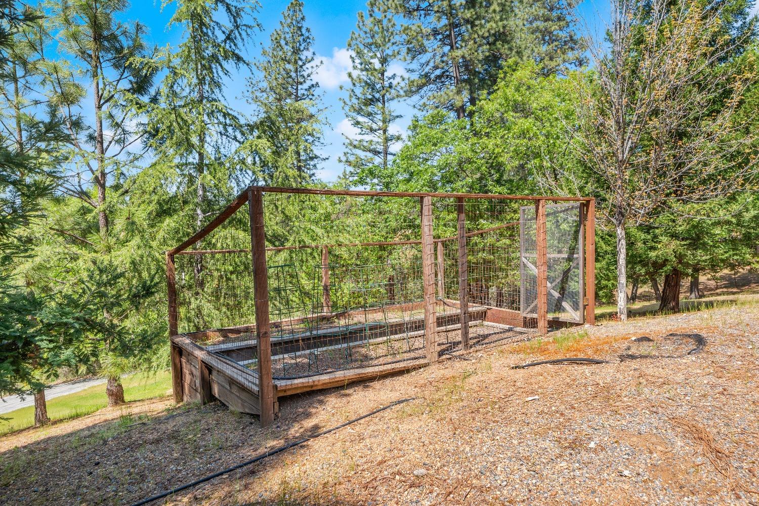 Detail Gallery Image 55 of 81 For 931 Eden Valley Rd, Colfax,  CA 95713 - 4 Beds | 3 Baths