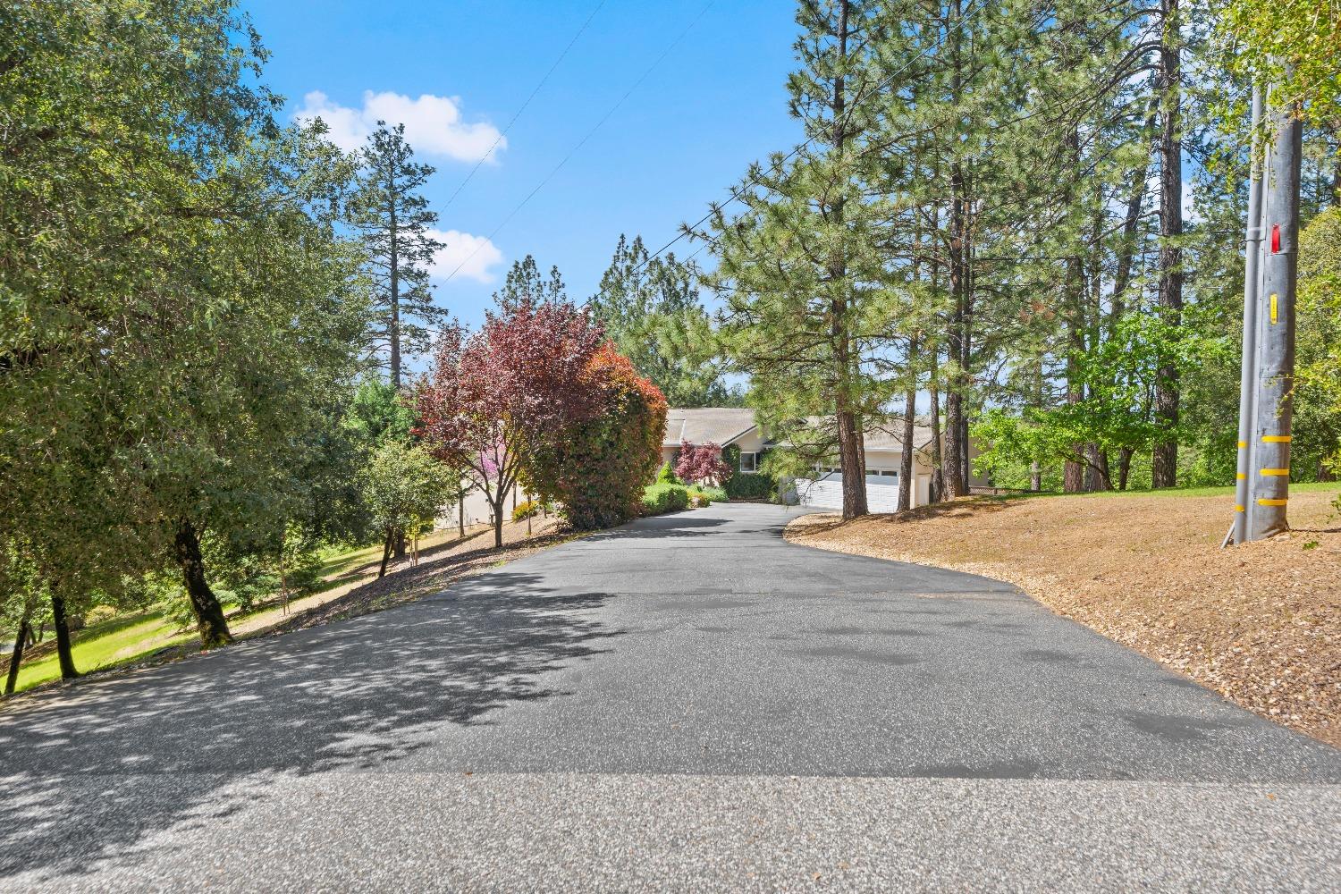 Detail Gallery Image 71 of 81 For 931 Eden Valley Rd, Colfax,  CA 95713 - 4 Beds | 3 Baths
