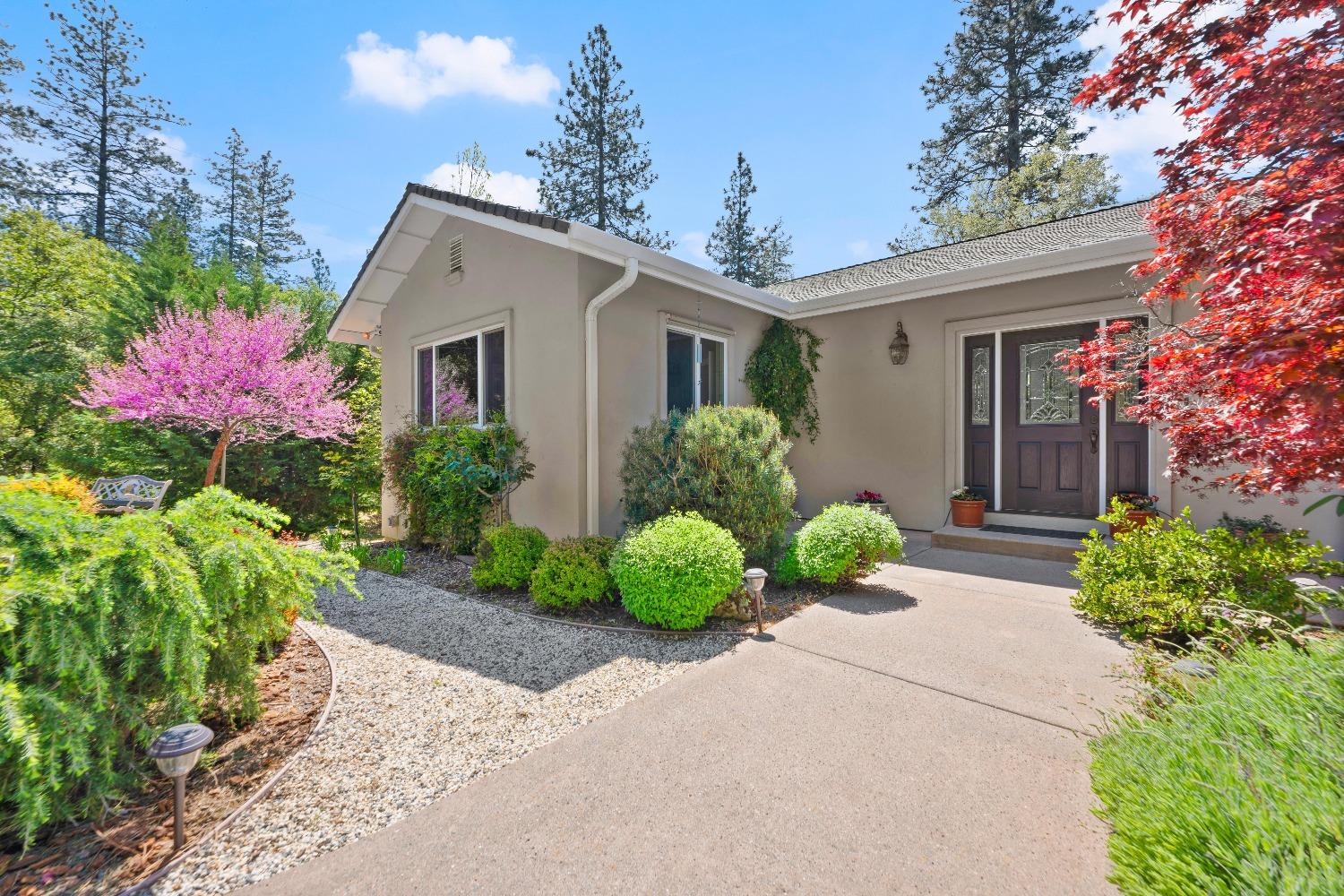Detail Gallery Image 3 of 81 For 931 Eden Valley Rd, Colfax,  CA 95713 - 4 Beds | 3 Baths