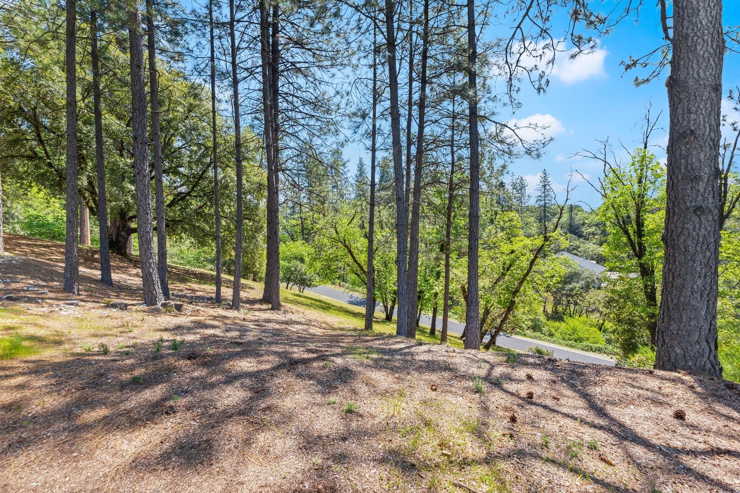 Detail Gallery Image 63 of 81 For 931 Eden Valley Rd, Colfax,  CA 95713 - 4 Beds | 3 Baths