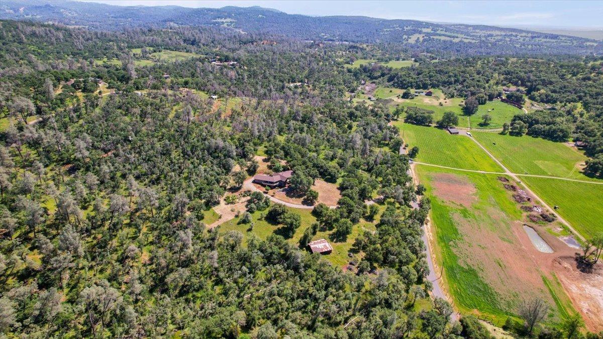 Detail Gallery Image 93 of 99 For 9521 Sicard Flat Rd, Browns Valley,  CA 95918 - 4 Beds | 3/1 Baths