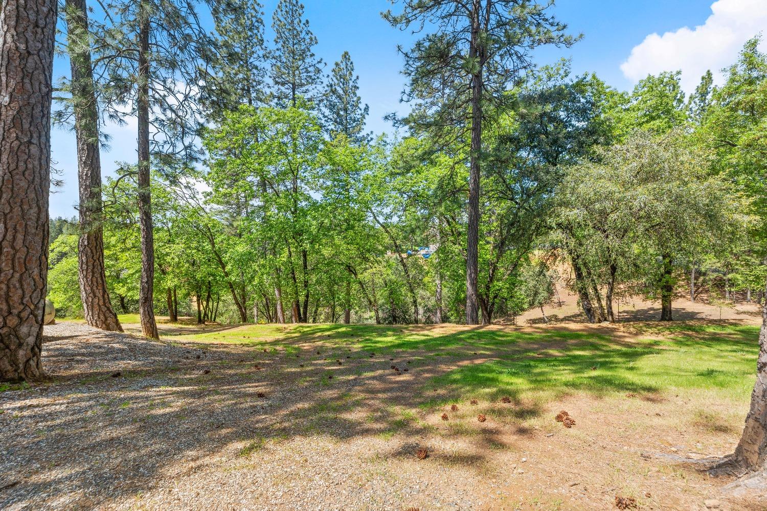 Detail Gallery Image 64 of 81 For 931 Eden Valley Rd, Colfax,  CA 95713 - 4 Beds | 3 Baths