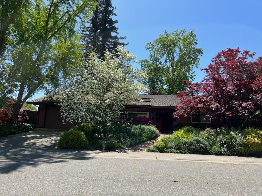 Mira Del Rio Drive, Sacramento, California image 2