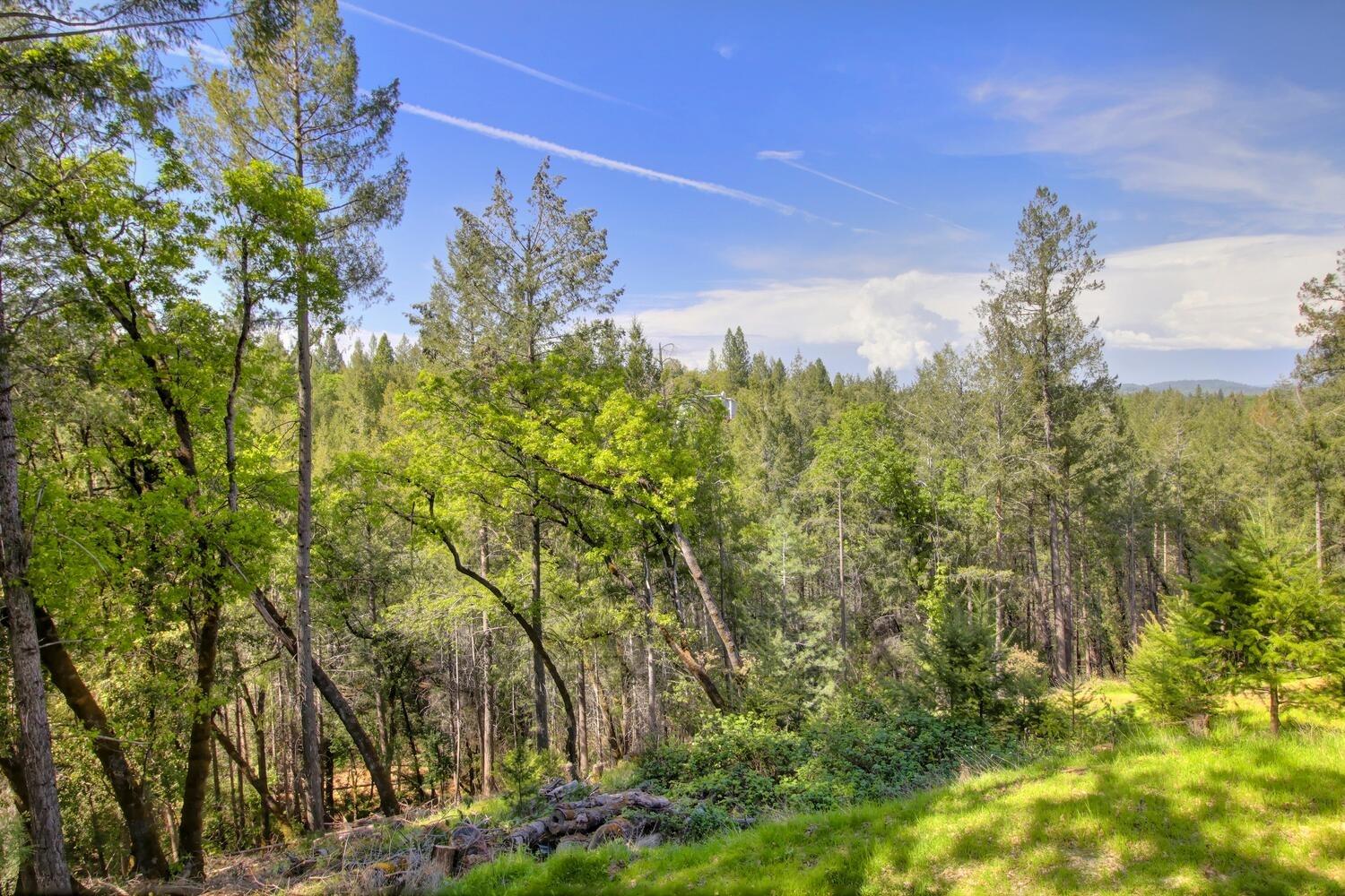 Detail Gallery Image 55 of 58 For 22165 Winchester Way, Colfax,  CA 95713 - 6 Beds | 3 Baths