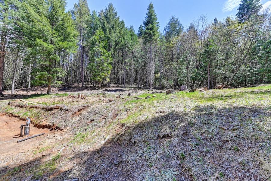 Detail Gallery Image 53 of 64 For 500 Lee Rd, Alta,  CA 95701 - 3 Beds | 2 Baths