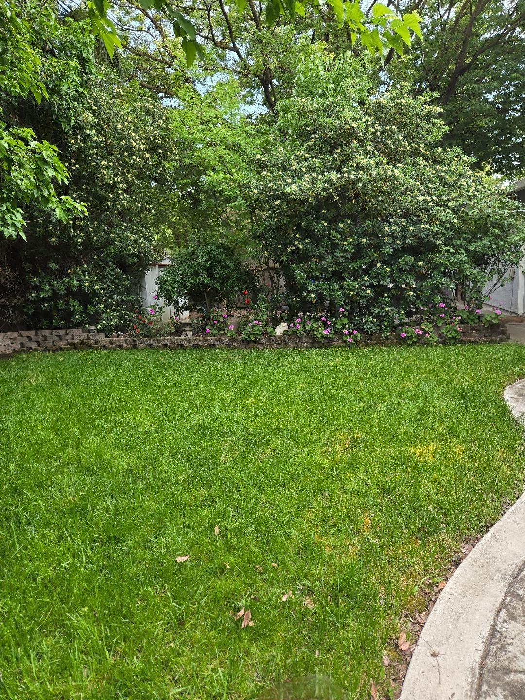 Detail Gallery Image 77 of 82 For 317 Dorado Ln, Modesto,  CA 95356 - 3 Beds | 2 Baths