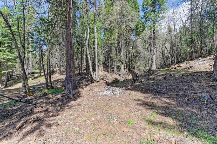 Detail Gallery Image 55 of 64 For 500 Lee Rd, Alta,  CA 95701 - 3 Beds | 2 Baths