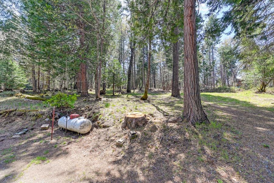 Detail Gallery Image 51 of 64 For 500 Lee Rd, Alta,  CA 95701 - 3 Beds | 2 Baths