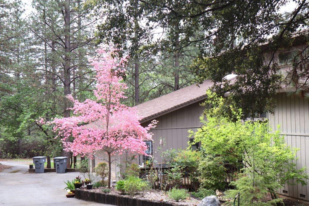 Detail Gallery Image 2 of 86 For 430 Hillside Dr, Applegate,  CA 95703 - 3 Beds | 2 Baths