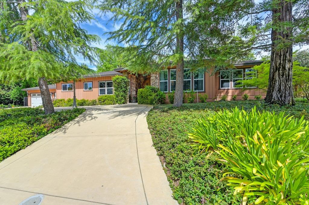 Erika Jean Way, Fair Oaks, California image 4