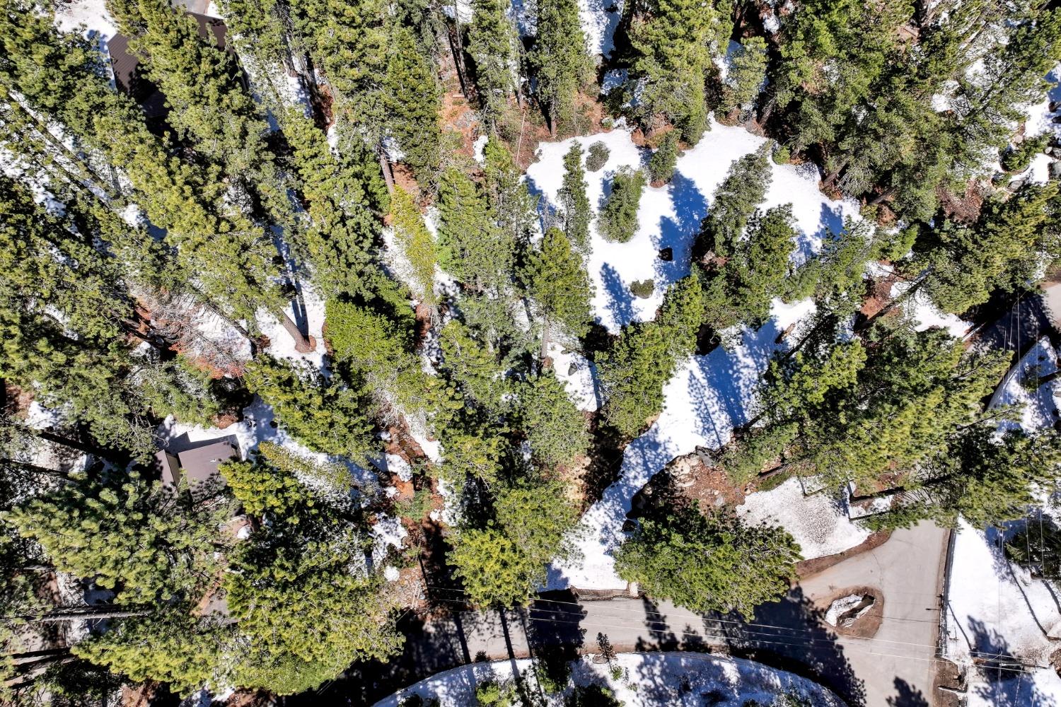 Detail Gallery Image 24 of 25 For 50890 Manzanita Ter, Soda Springs,  CA 95728 - – Beds | – Baths