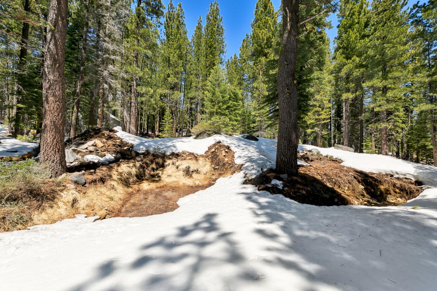 Detail Gallery Image 23 of 25 For 50890 Manzanita Ter, Soda Springs,  CA 95728 - – Beds | – Baths