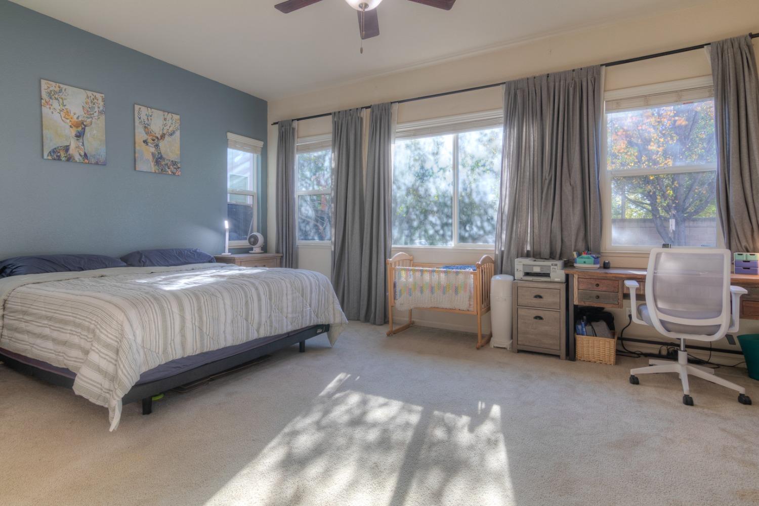 Jewelflower Street, Plumas Lake, California image 25