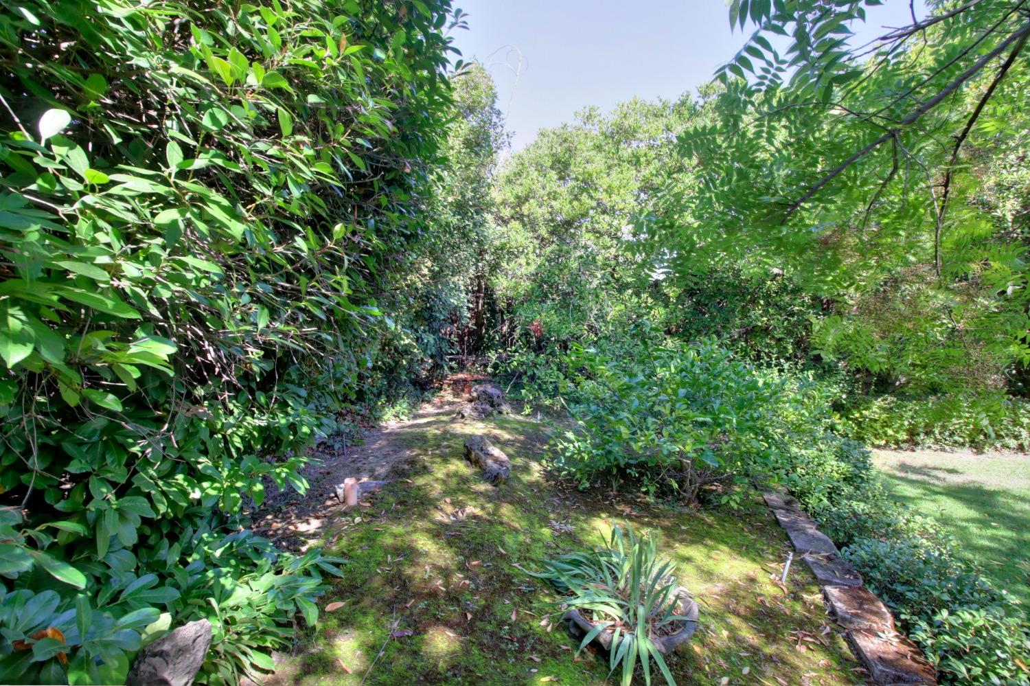 Dambacher Drive, Granite Bay, California image 49