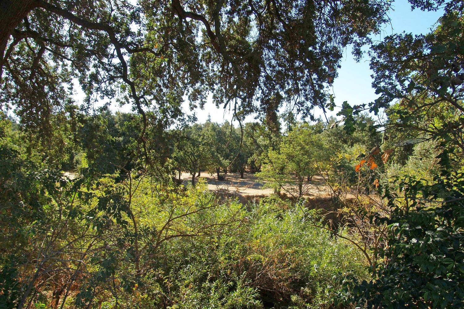 Seven Falls, Modesto, California image 29