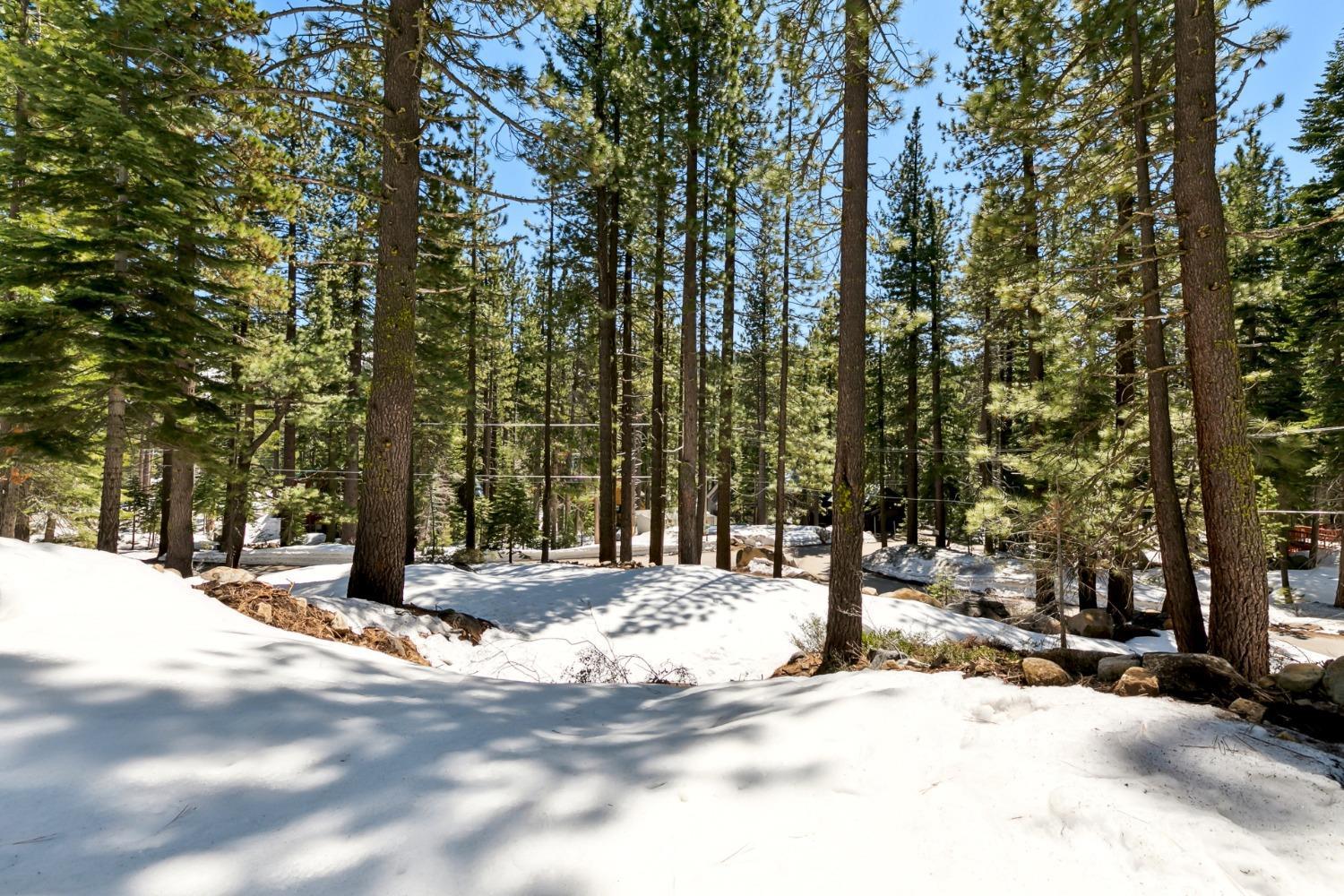 Detail Gallery Image 20 of 25 For 50890 Manzanita Ter, Soda Springs,  CA 95728 - – Beds | – Baths