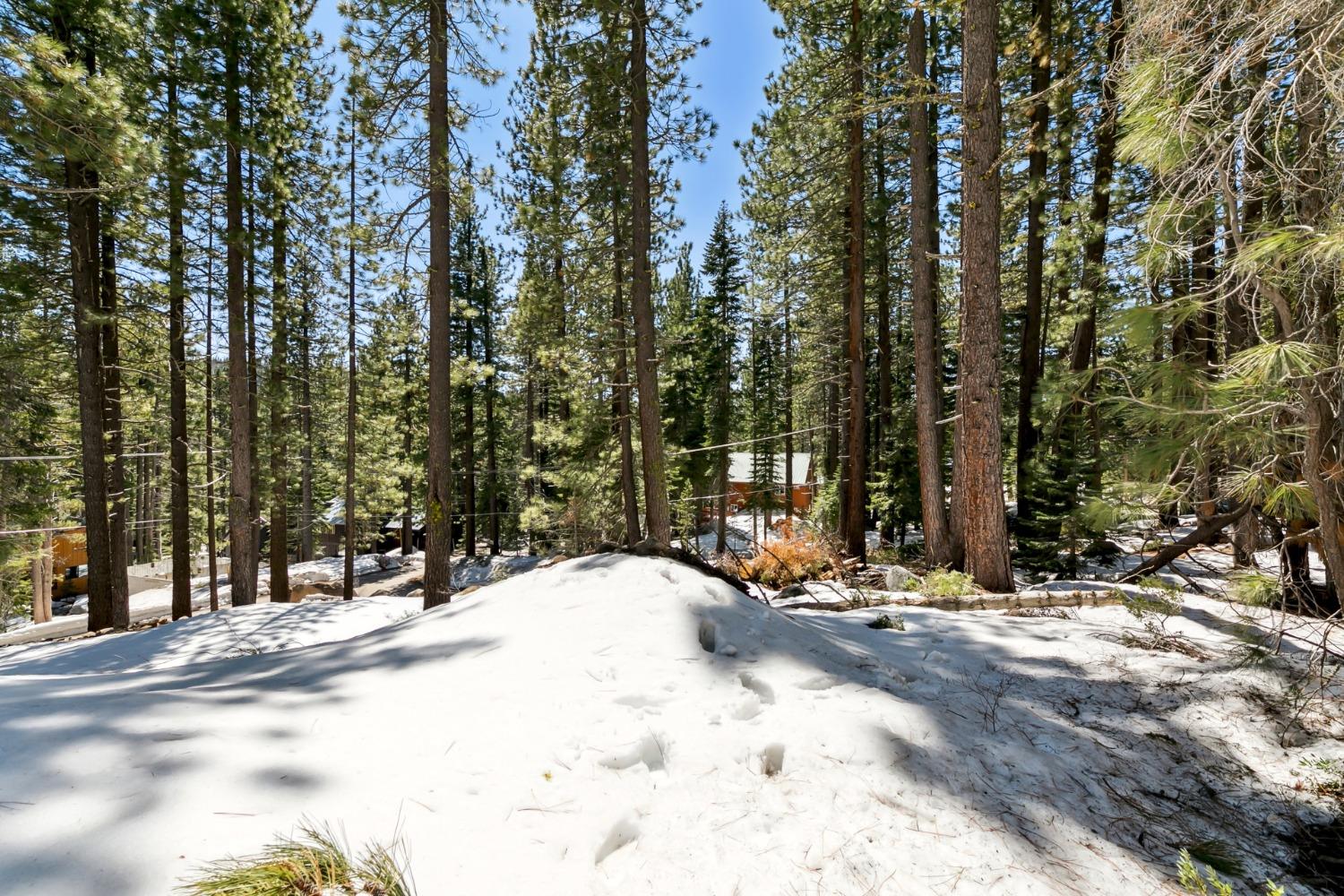 Detail Gallery Image 21 of 25 For 50890 Manzanita Ter, Soda Springs,  CA 95728 - – Beds | – Baths