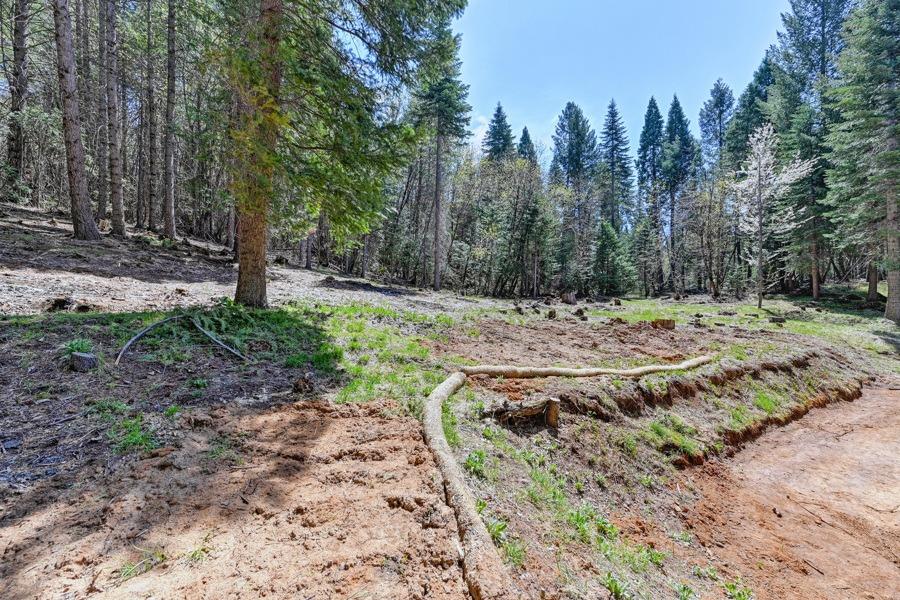 Detail Gallery Image 54 of 64 For 500 Lee Rd, Alta,  CA 95701 - 3 Beds | 2 Baths