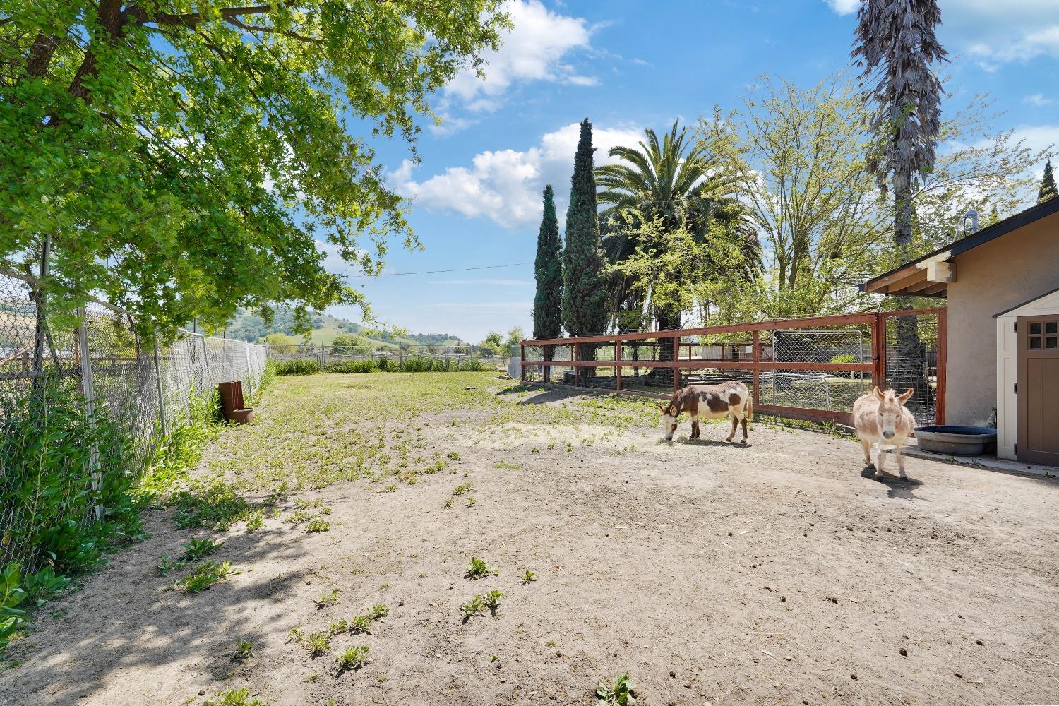 Fortini Road, San Jose, California image 19