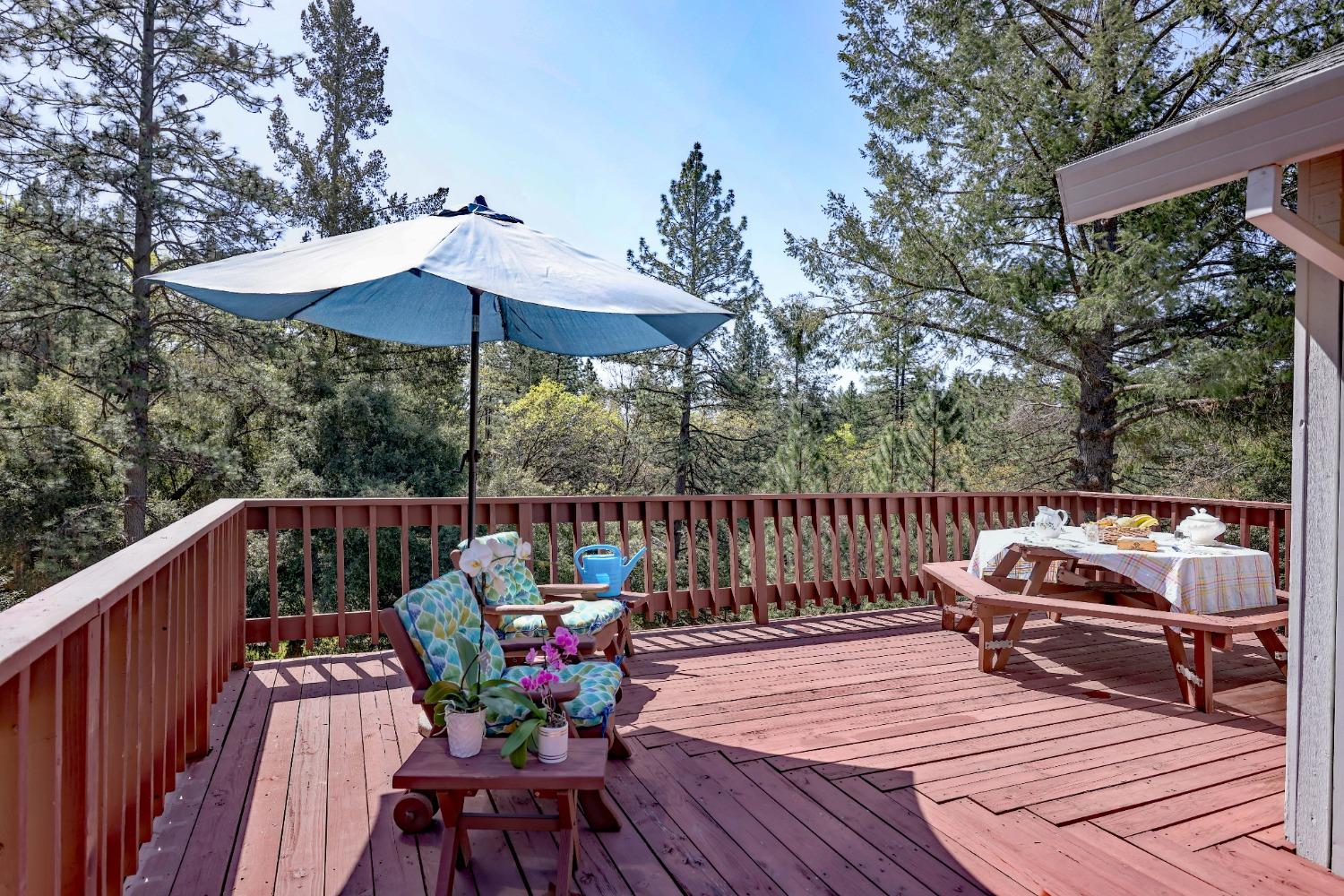 Detail Gallery Image 7 of 46 For 450 Hill Haven Dr, Colfax,  CA 95713 - 3 Beds | 2/1 Baths