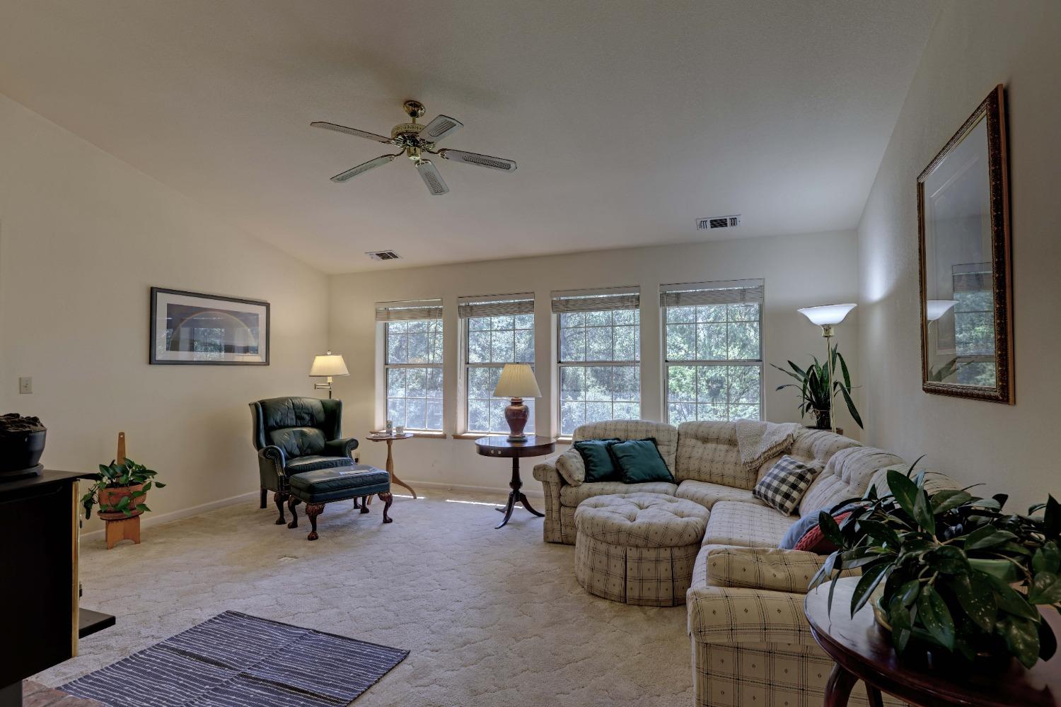 Detail Gallery Image 14 of 46 For 450 Hill Haven Dr, Colfax,  CA 95713 - 3 Beds | 2/1 Baths