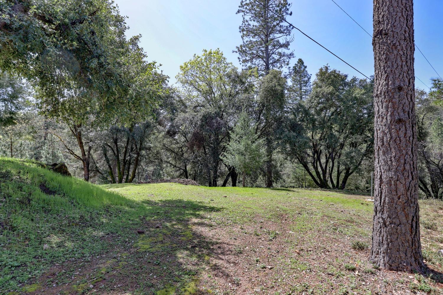 Detail Gallery Image 43 of 46 For 450 Hill Haven Dr, Colfax,  CA 95713 - 3 Beds | 2/1 Baths