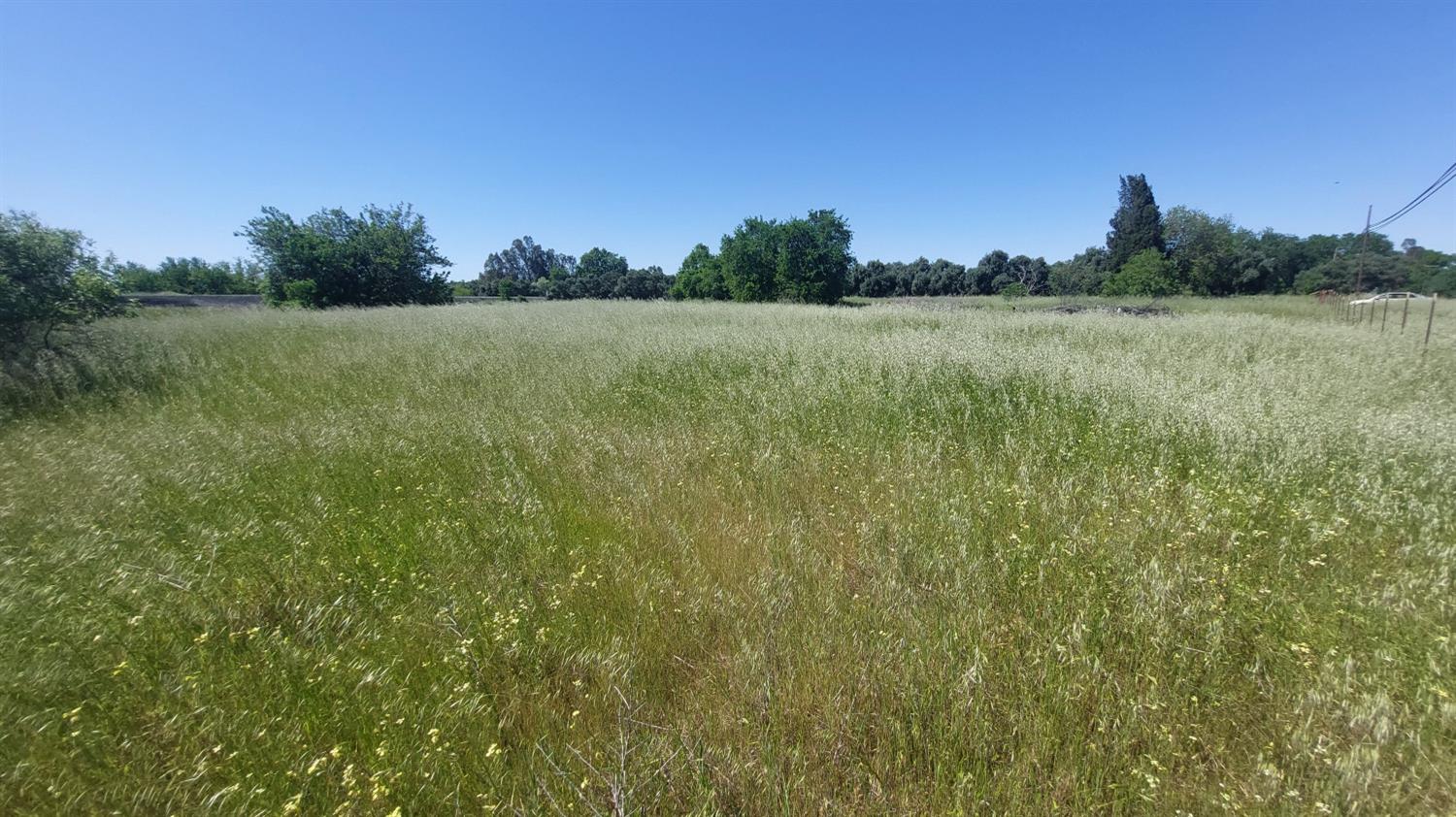 Detail Gallery Image 57 of 69 For 2915 S 99w Hwy, Corning,  CA 96021 - – Beds | – Baths